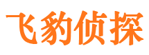 宿城外遇出轨调查取证